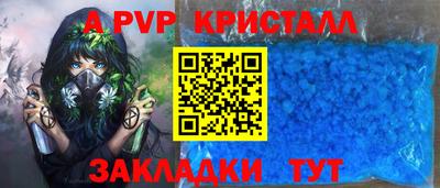 шишки Кингисепп