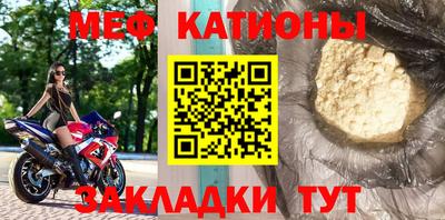 шишки Кингисепп