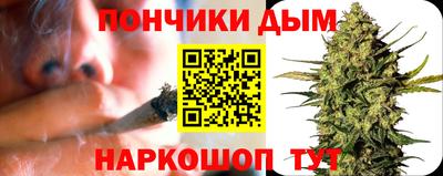 сатива Кандалакша