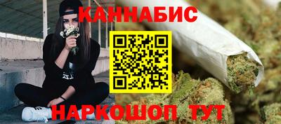 шишки Кингисепп