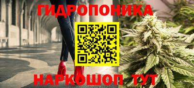 spice Канаш