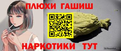 шишки Кингисепп