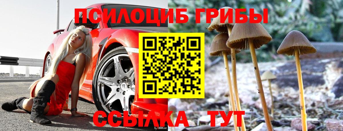 Лангепас  Псилоцибиновые грибы мицелий  Вход с VPN  Псилоцибиновые грибы Psilocybine cubensis 
